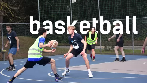IEG basketball